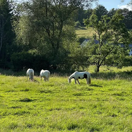 Wohlfuehl Nest Mit Schoener Aussicht Rittersdorf