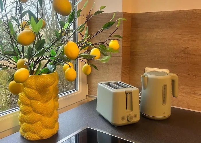 Wohlfuehl Nest Mit Schoener Aussicht